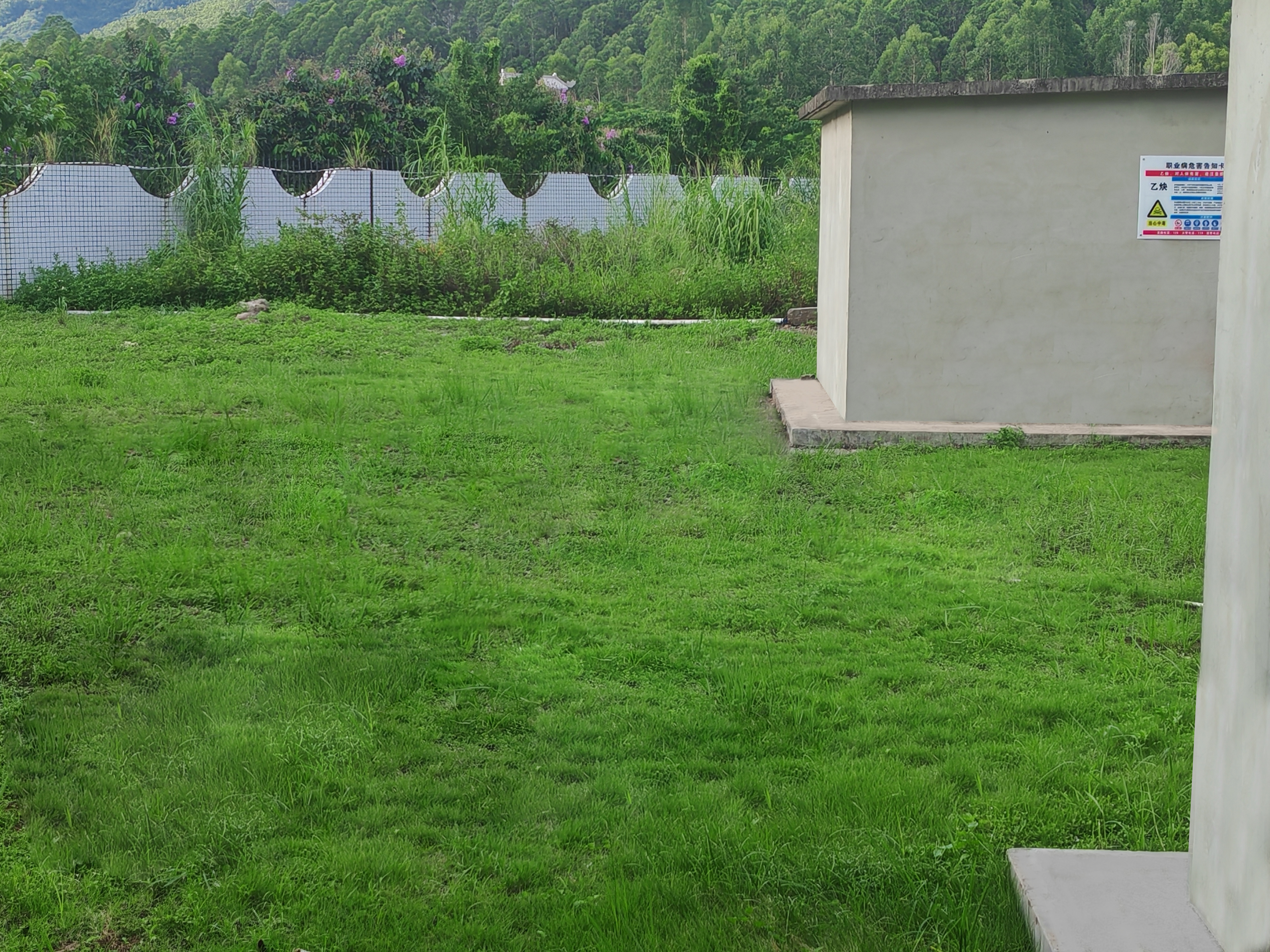 綠化帶雜物整改后.jpg 綠化帶雜物整改后.jpg